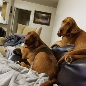 Meet your Posher, Anthony